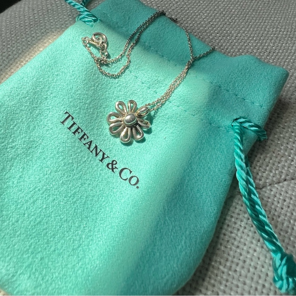 TIFFANY & Co. necklace
